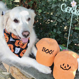 Halloween Dog Bandana with Personalization