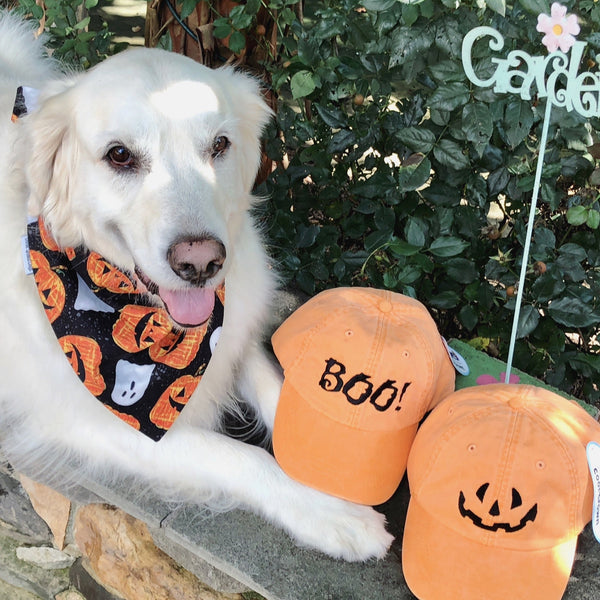 Personalized Halloween Pet Bandanas with Pets Name