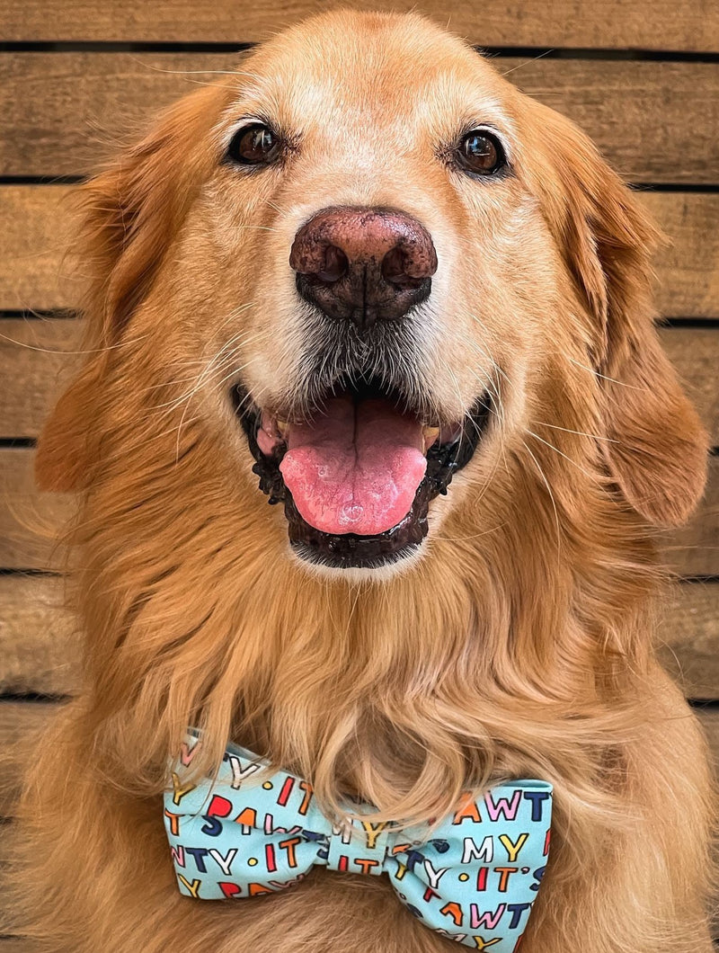 three spoiled dogs bow tie in blue with it's my pawty