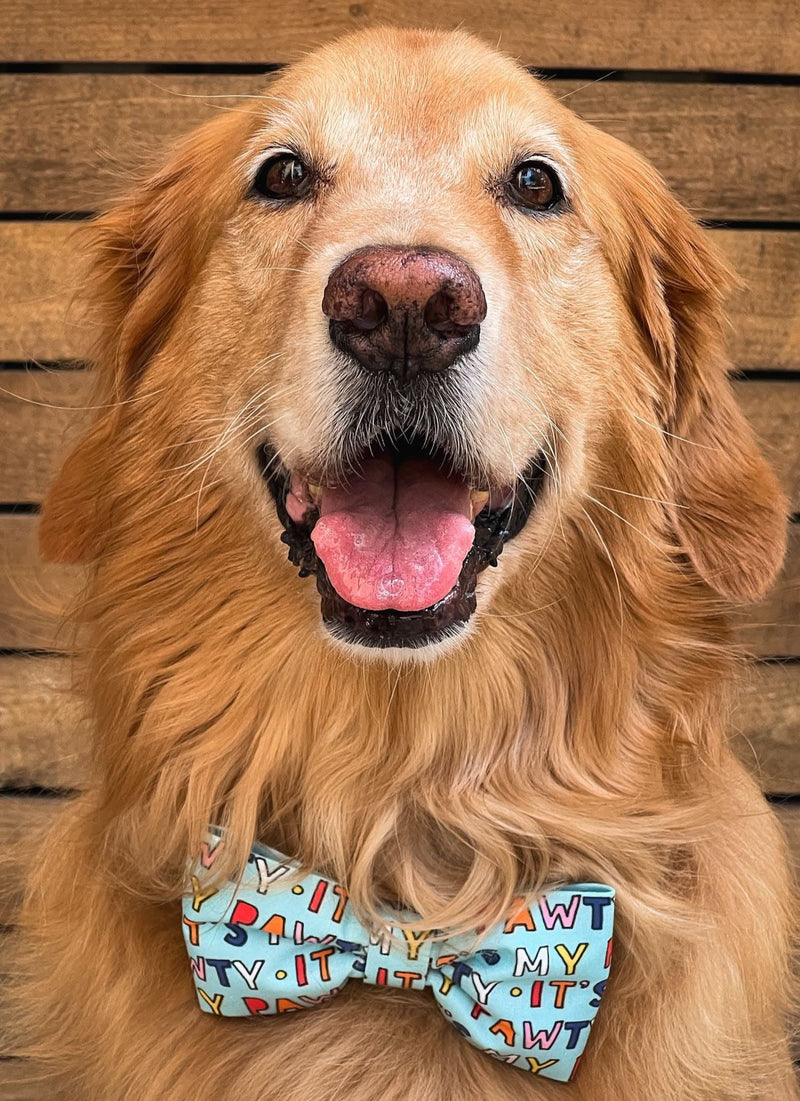 Birthday Bow Ties and Sailor Bows for Dogs