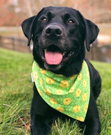 Easter Bunny & Chicks Pet Bandanas with Personalization