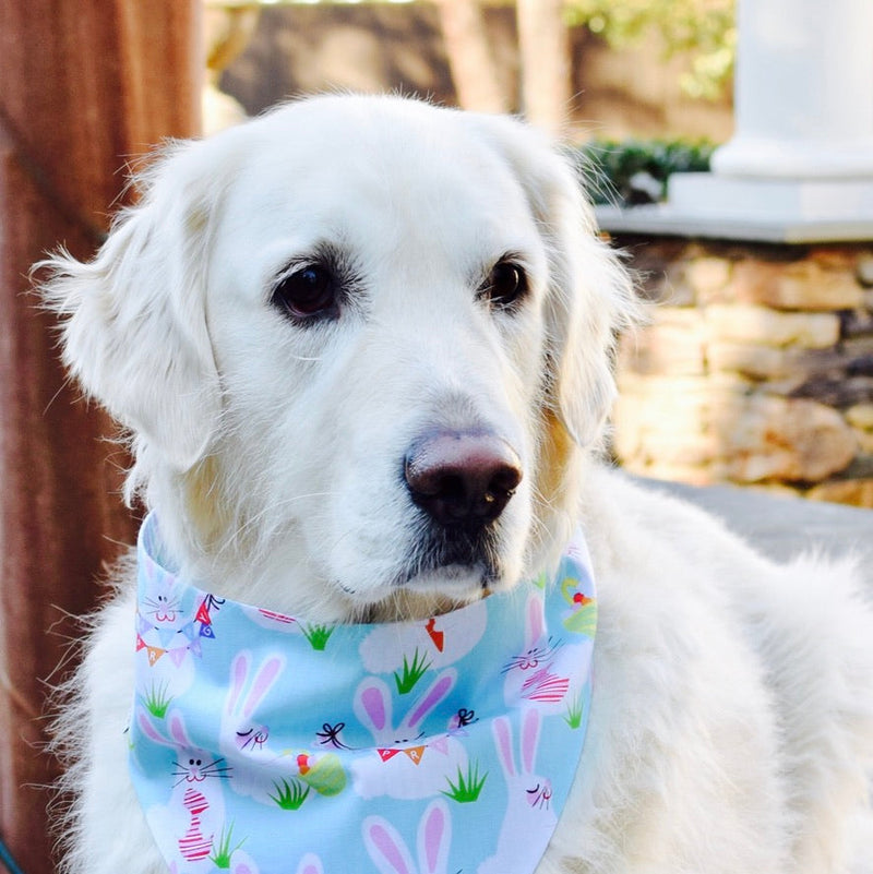 Easter Reversible Pet Bandanas Embroidered with a Name