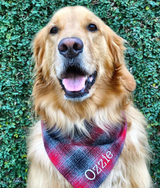Personalized Flannel Dog Bandanas