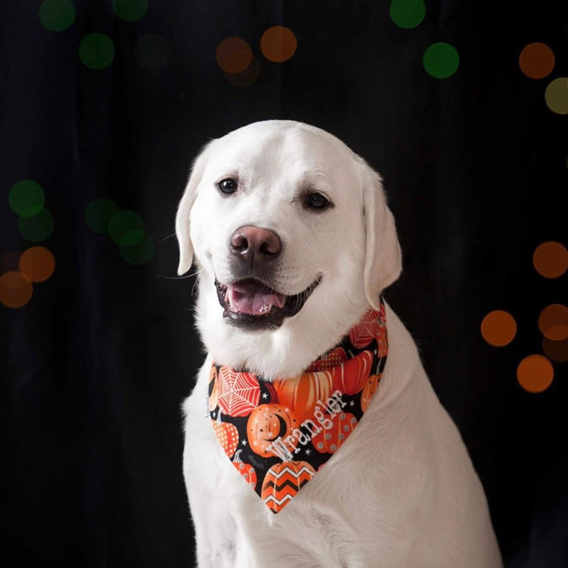Personalized Halloween Pet Bandanas with Pets Name