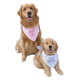 three spoiled dogs big sis pink seersucker and lil bro blue seersucker dog bandanas on golden retrievers