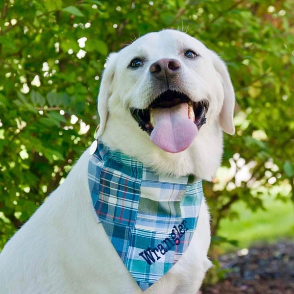 Madras Patchwork Dog Bandanas Personalized with Pets Name