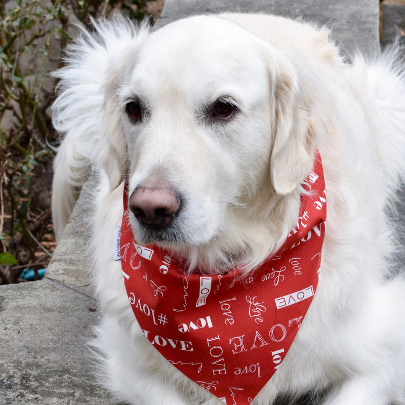 Peace, Love and Valentine's Day Custom Embroidered Bandanas