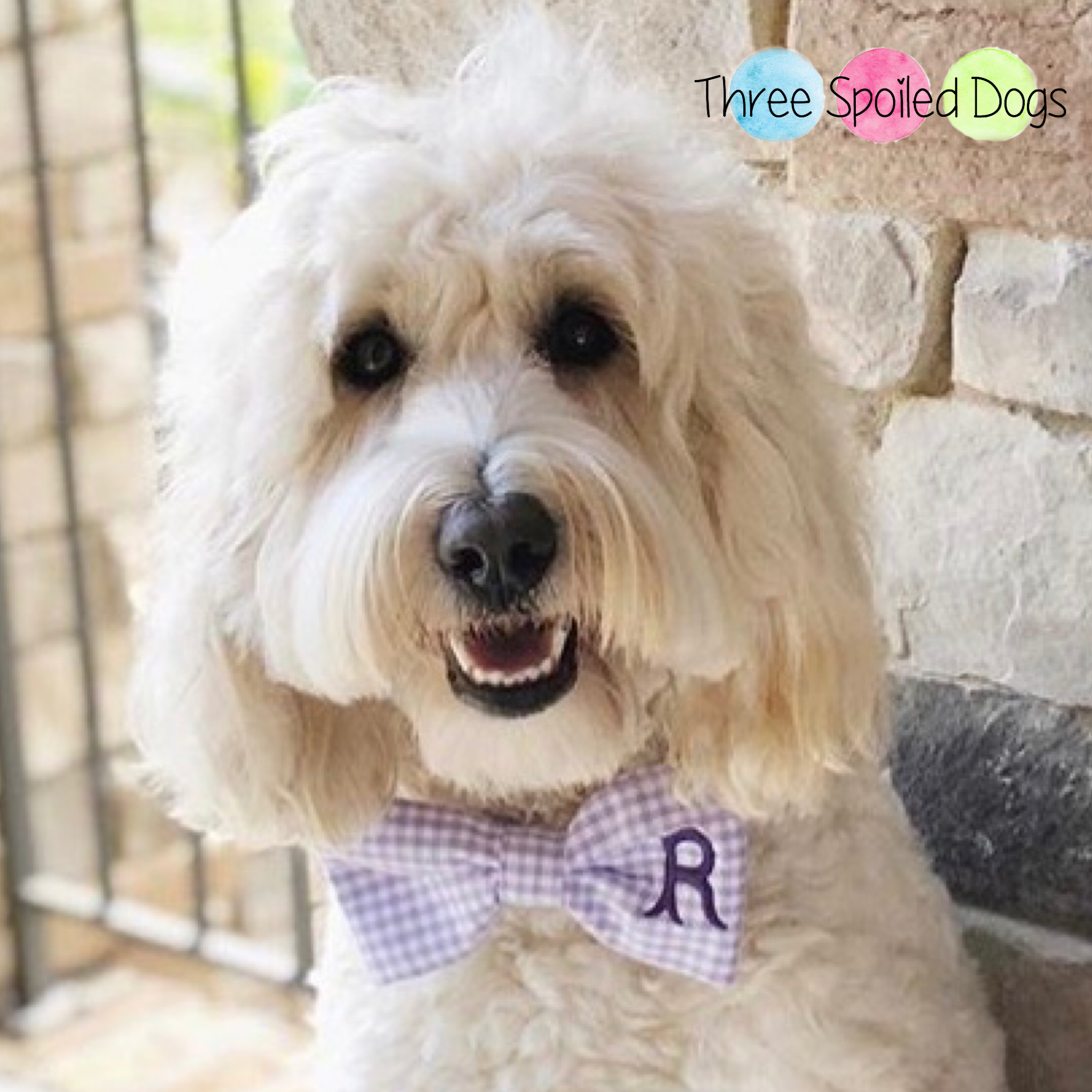 Monogram Dog Bow Ties and Girl Bows in Seersucker – Three Spoiled Dogs  Boutique