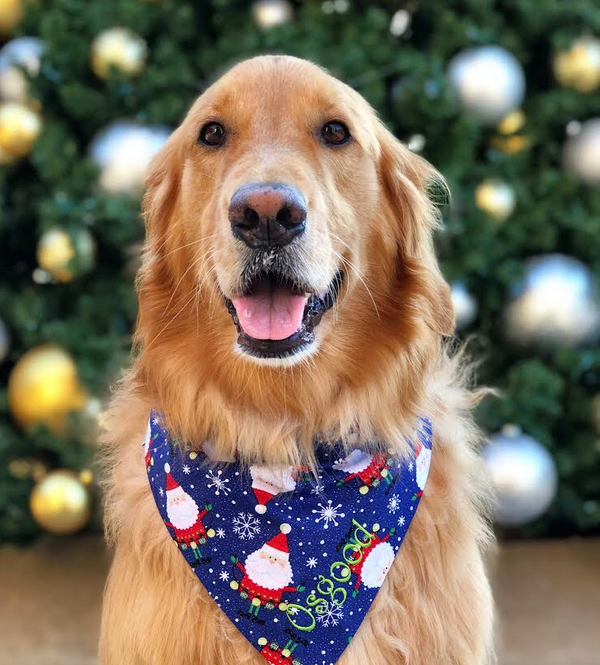 Santa Claus Reindeer Christmas Trees Llama Dog Bandanas