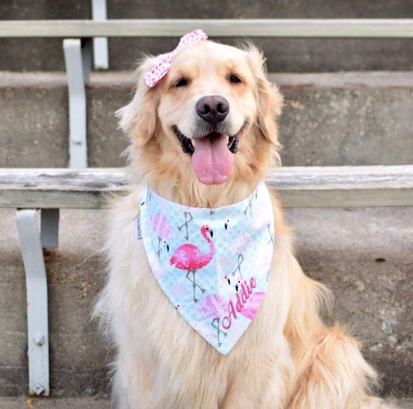 Flamingo Bandanas with Your Dogs Name