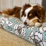 Snappy Poppy Canvas Dog Bed Collection