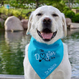 The Dogtor is In - Therapy Dog Bandana - Customize with Pets Name