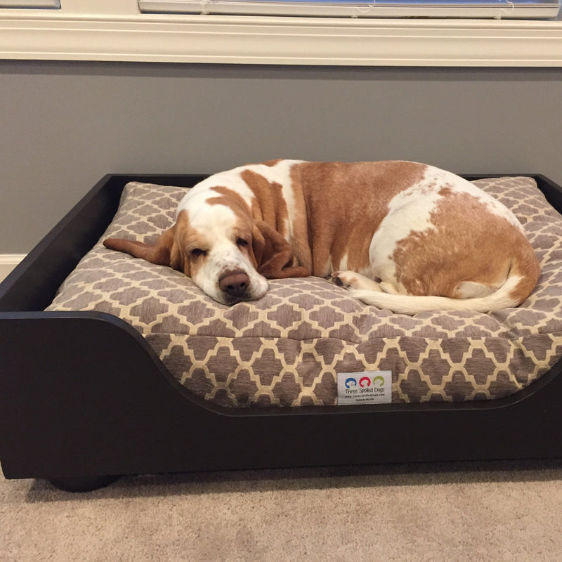 three spoiled dogs curved front wood dog bed in oxford with chenille dog bed and a basset hound sleeping on it