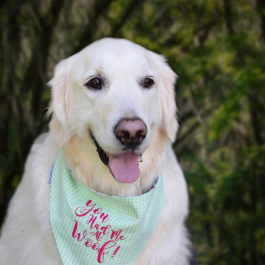 New York Yankees Dog Bandana, Personalized with your Pup's Name – Koa's  Ruff Life