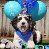 Happy Birthday Dog Bandana with Personalization